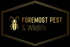 Foremost Pest